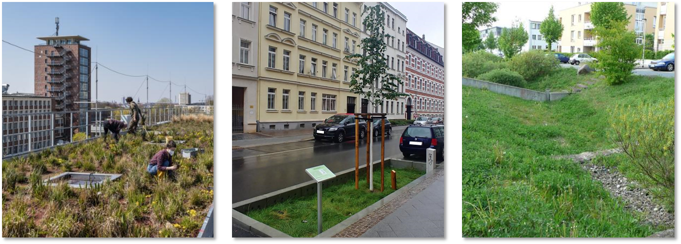 Examples of blue-green infrastructures